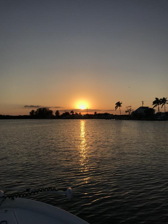 Hotel Cove